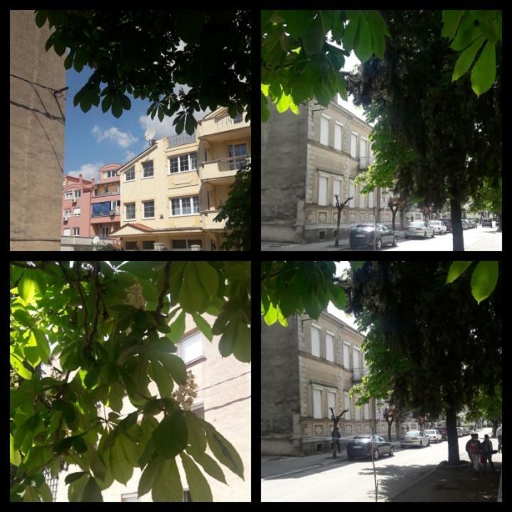 Apartment Voortex Trebin Dış mekan fotoğraf