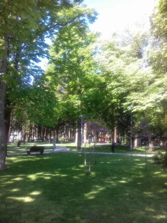 Apartment Voortex Trebin Dış mekan fotoğraf