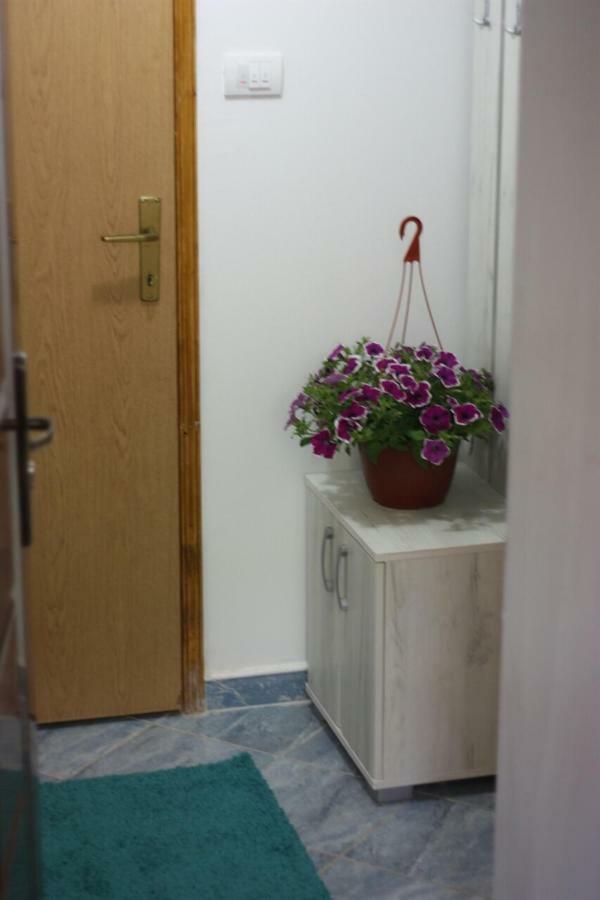 Apartment Voortex Trebin Dış mekan fotoğraf