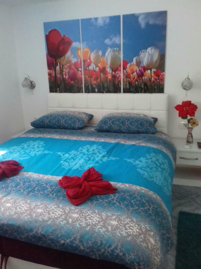 Apartment Voortex Trebin Dış mekan fotoğraf