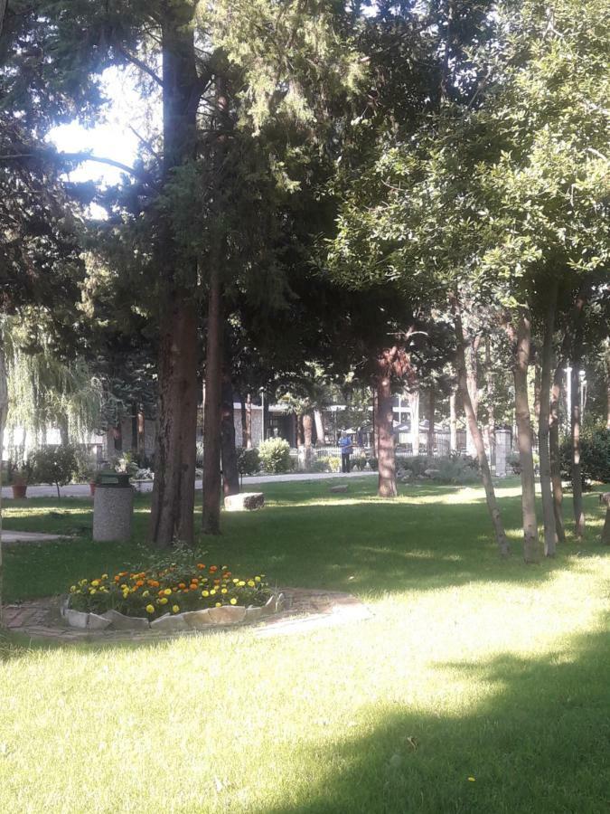 Apartment Voortex Trebin Dış mekan fotoğraf