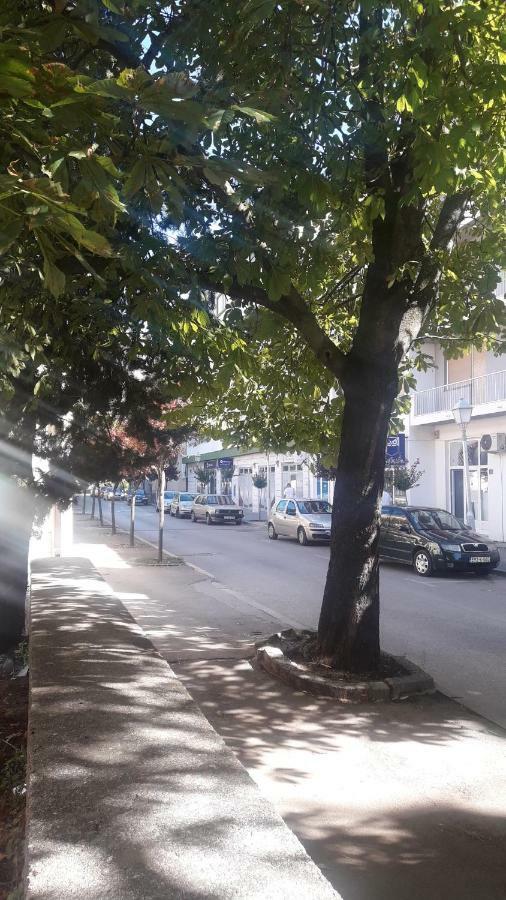 Apartment Voortex Trebin Dış mekan fotoğraf
